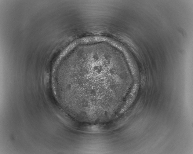 X0000113580365200910161545