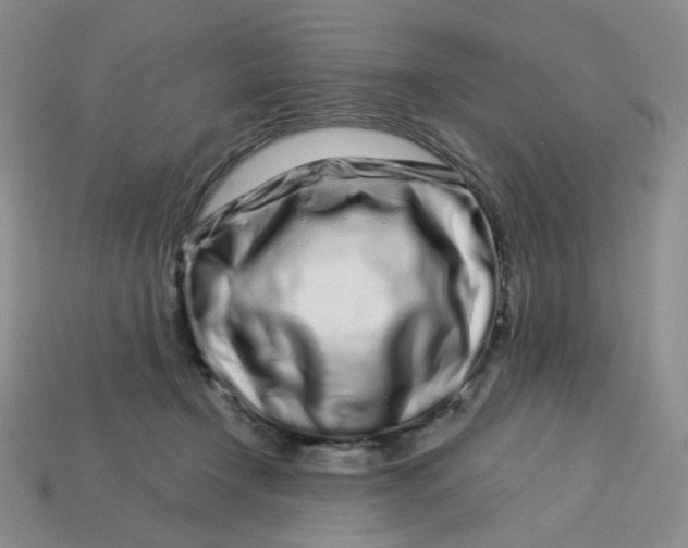 X0000113580366200910161545