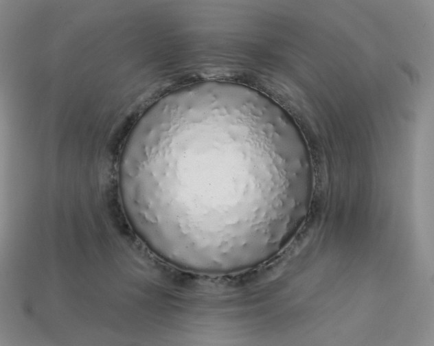 X0000113580367200910161545