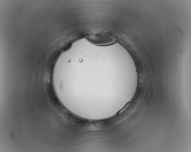 X0000113580368200910161545