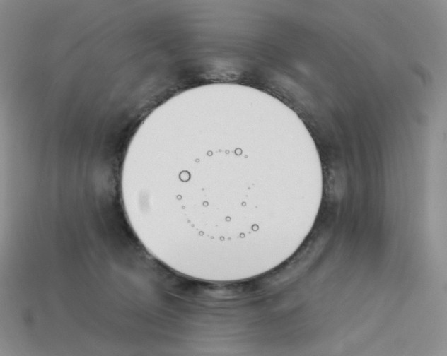 X0000113580370200910161545