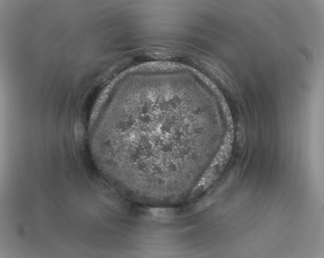 X0000113580371200910161545