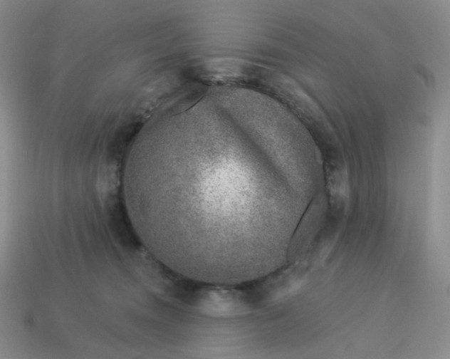 X0000113580372200910161545