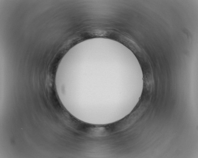 X0000113580374200910161545