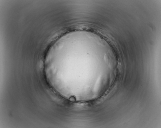 X0000113580375200910161545