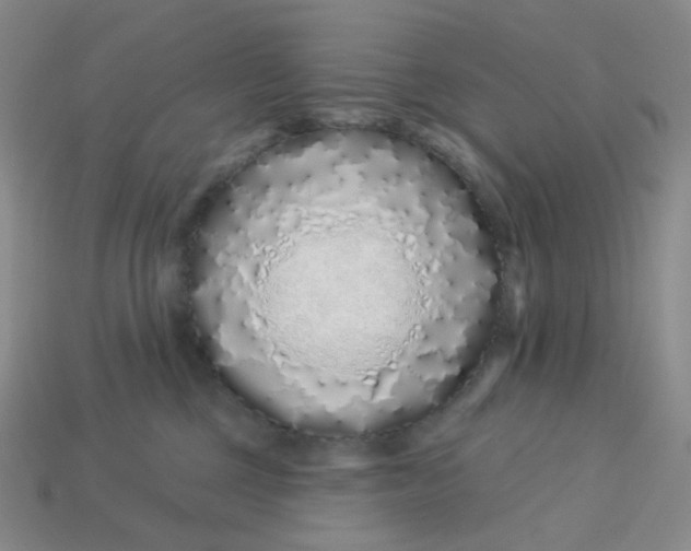 X0000113580377200910161545