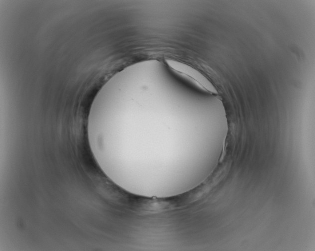 X0000113580379200910161545