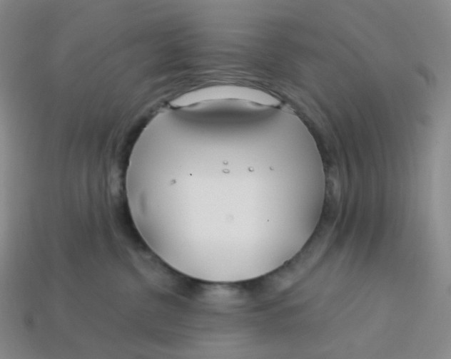 X0000113580380200910161545