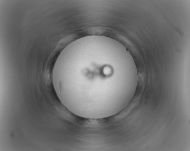 X0000113580381200910161545