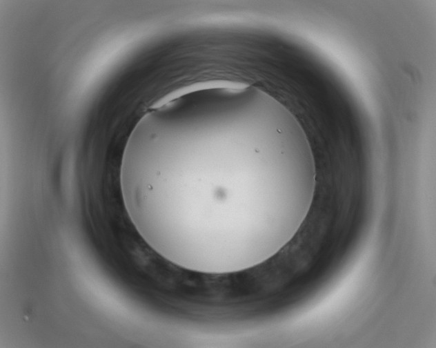 X0000113580382200910161545