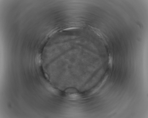 X0000113580383200910161545