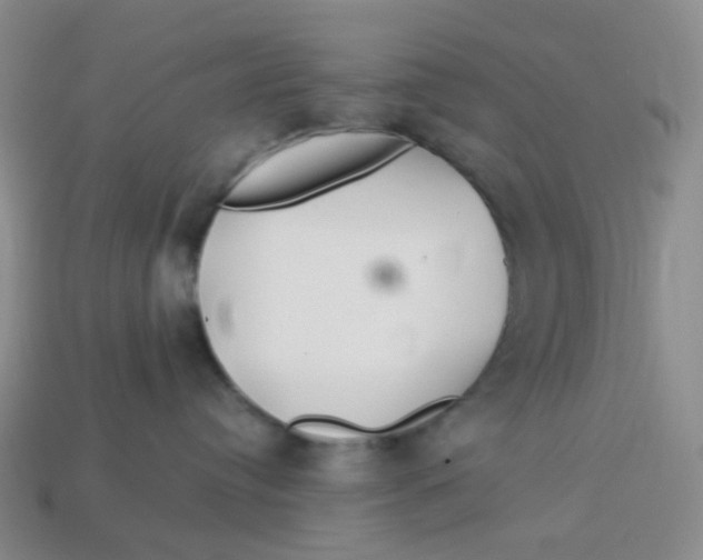 X0000113580384200910161545