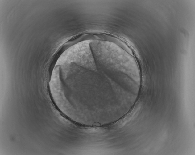 X0000113580385200910161544