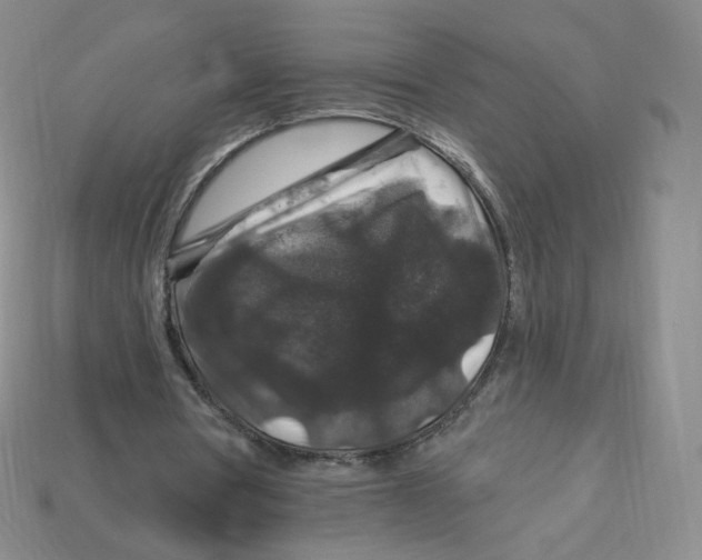 X0000113580386200910161544