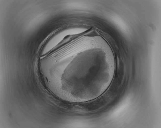 X0000113580387200910161544