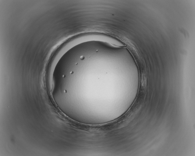 X0000113580388200910161544