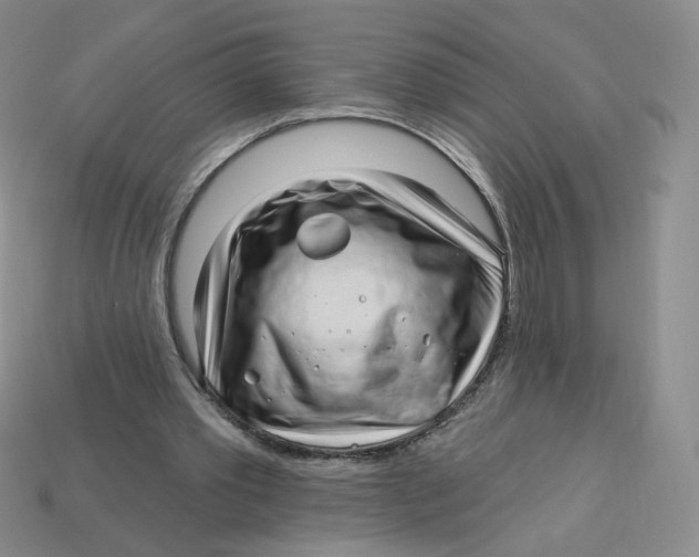 X0000113580389200910161544