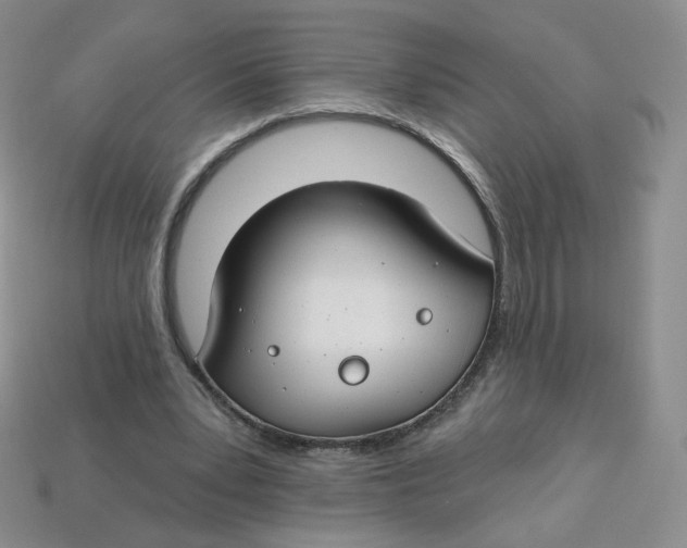 X0000113580391200910161544