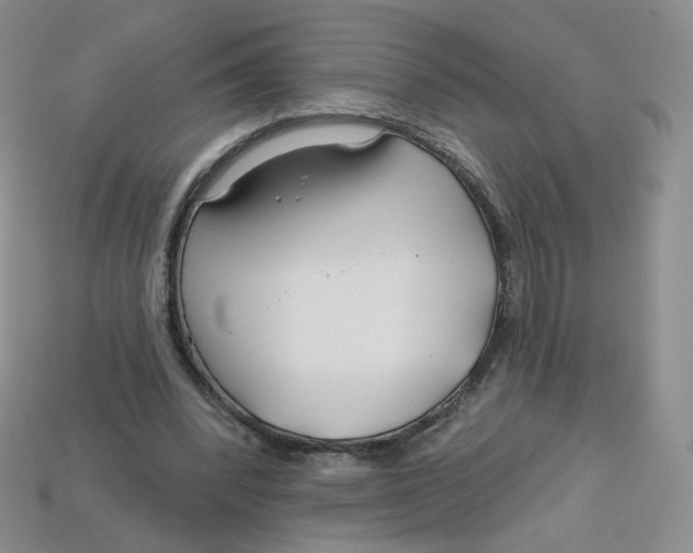 X0000113580392200910161544