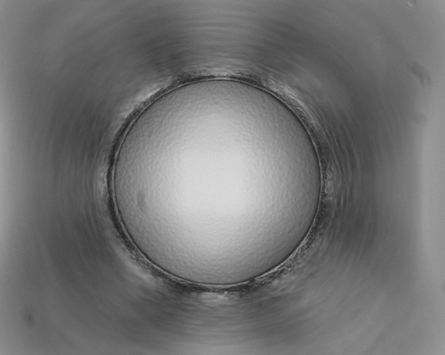 X0000113580394200910161544