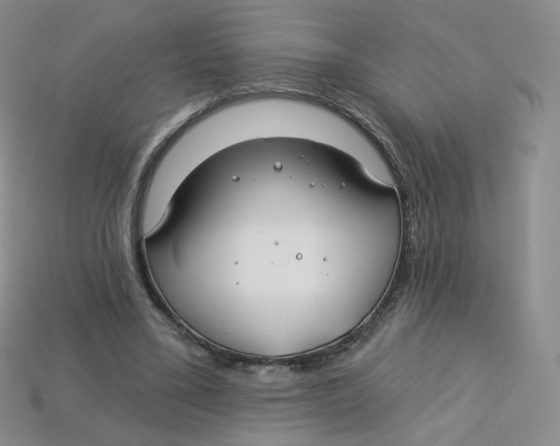 X0000113580395200910161544