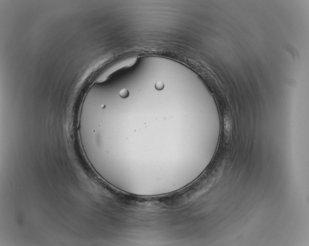 X0000113580396200910161544