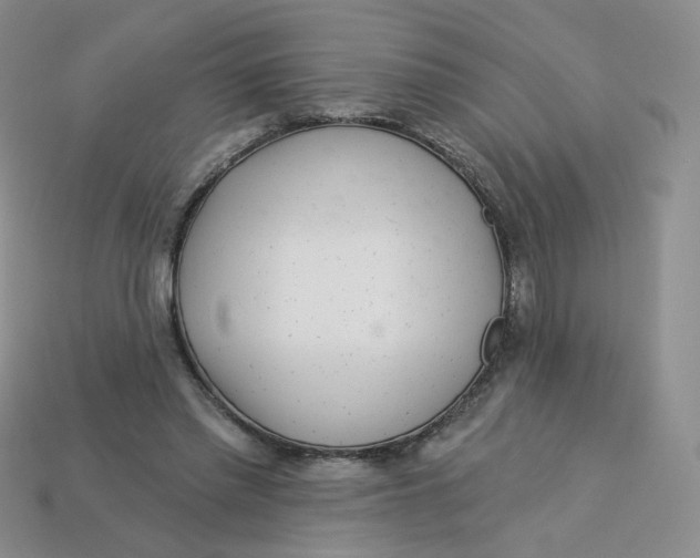 X0000113580397200910161544