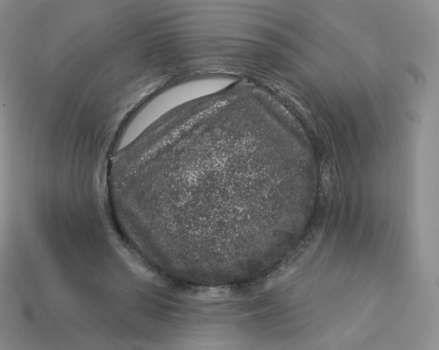 X0000113580398200910161544