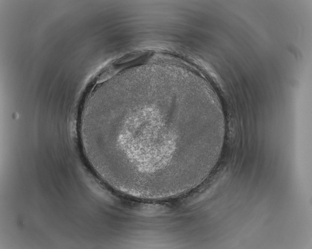 X0000113580399200910161544