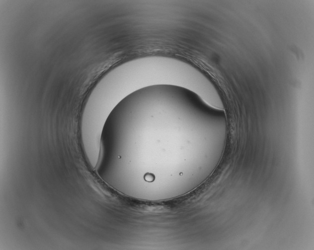 X0000113580401200910161544