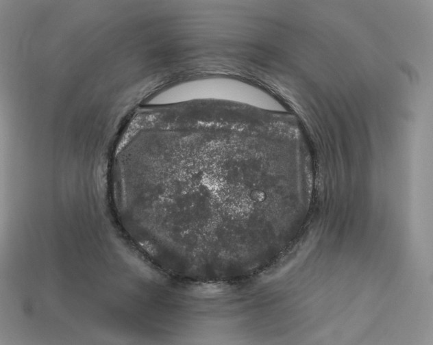 X0000113580402200910161544