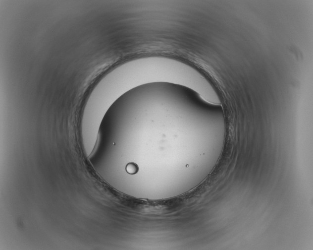 X0000113580403200910161544