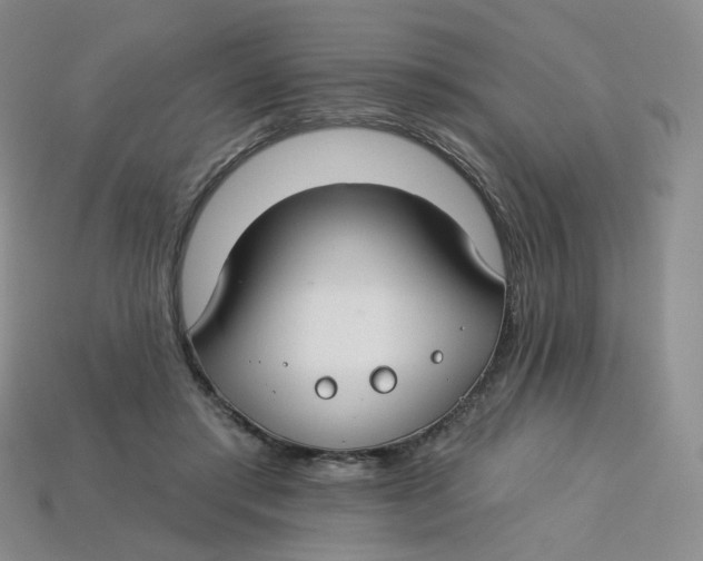 X0000113580405200910161544