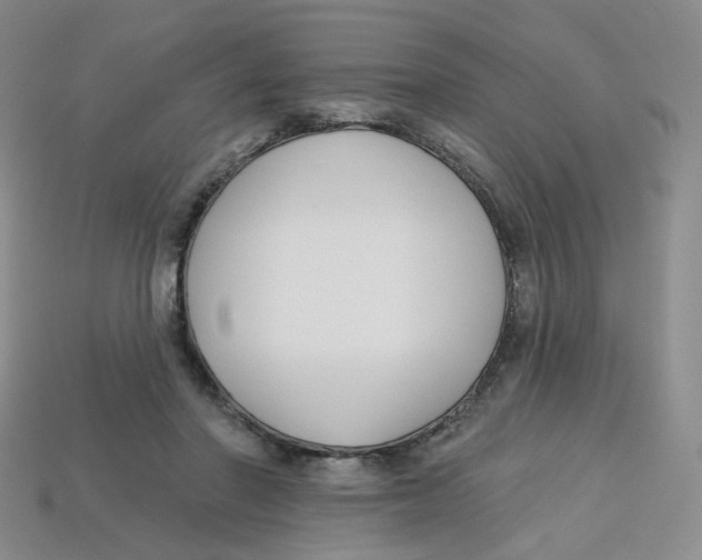 X0000113580406200910161544