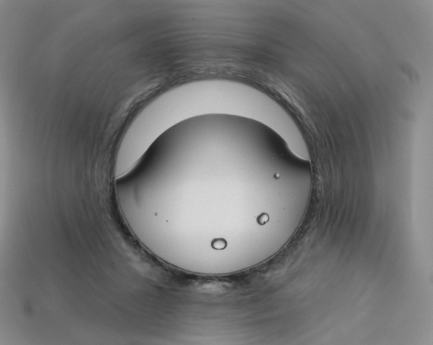 X0000113580407200910161544