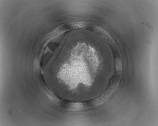 X0000113580409200910161544