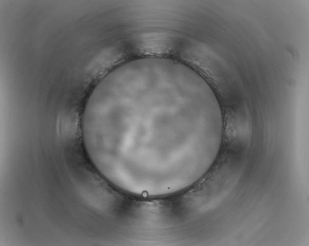 X0000113580411200910161544