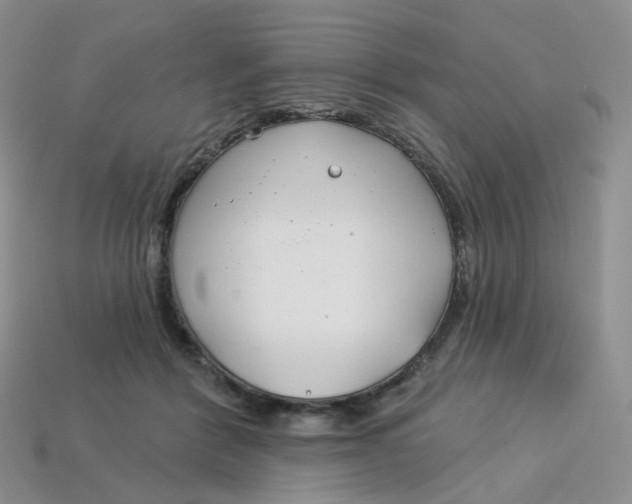 X0000113580412200910161544