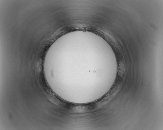 X0000113580413200910161544