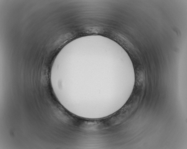 X0000113580414200910161544