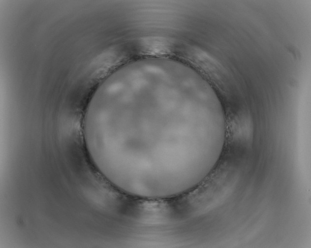 X0000113580415200910161544