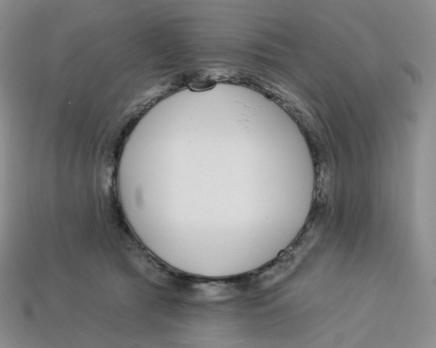 X0000113580417200910161544