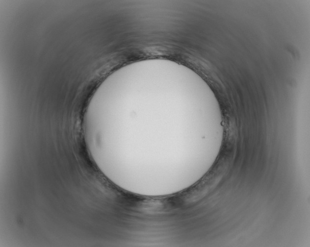 X0000113580418200910161544