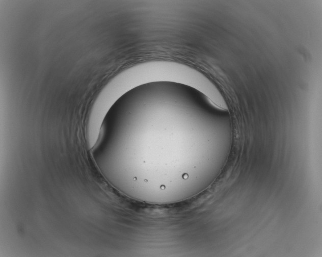 X0000113580419200910161544