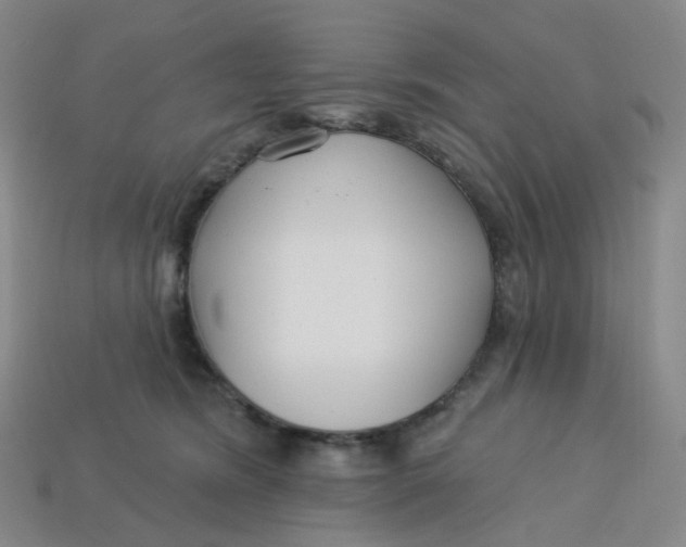 X0000113580420200910161544