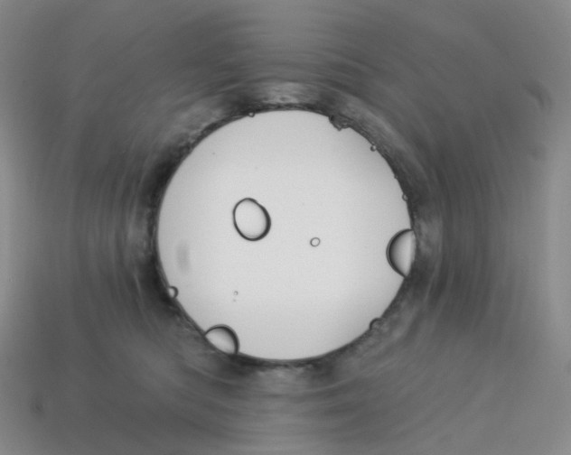 X0000113580422200910161544