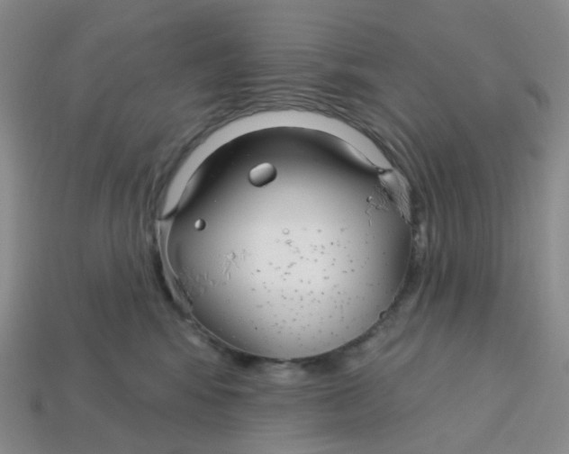 X0000113580424200910161544