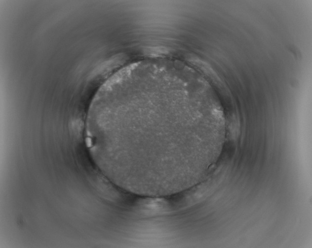 X0000113580427200910161544