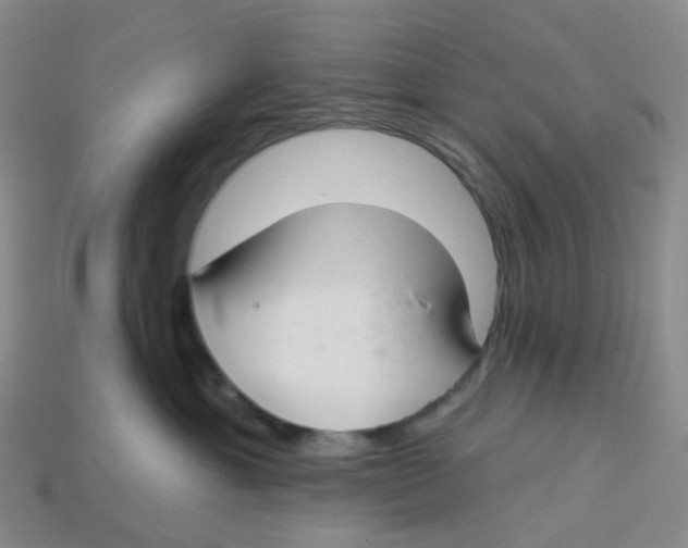 X0000113580429200910161544