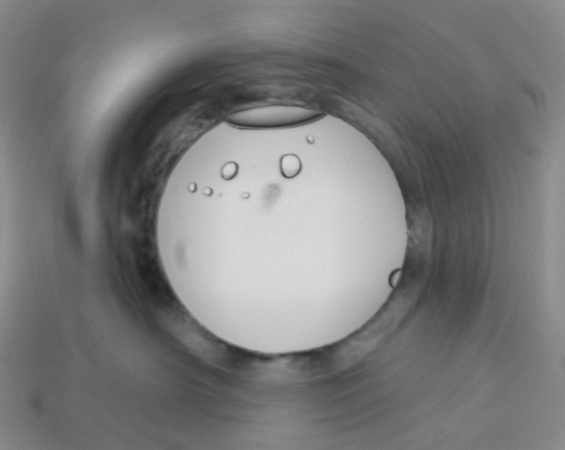 X0000113580430200910161544